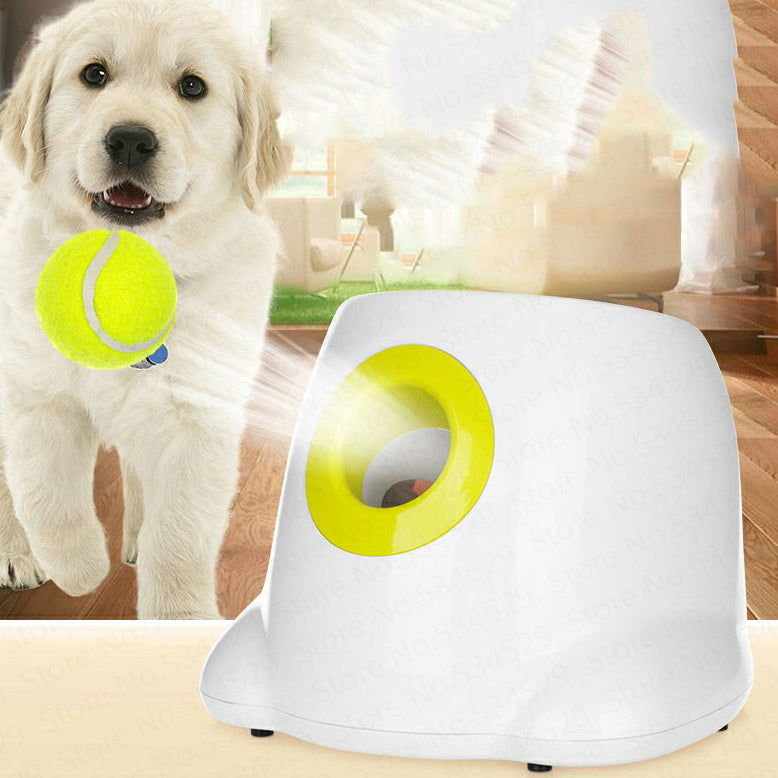 Pet Toys
